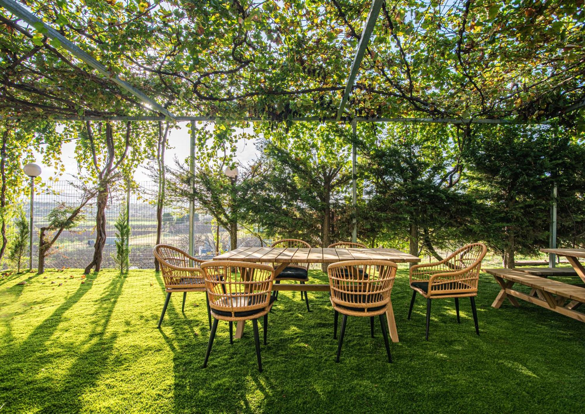 Masticha Apartment Oinofyta Екстер'єр фото